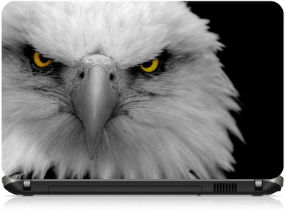 

Box 18 Eagle Close Up1648 Vinyl Laptop Decal 15.6