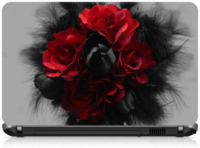 

Box 18 LP1752 Vinyl Laptop Decal 15.6