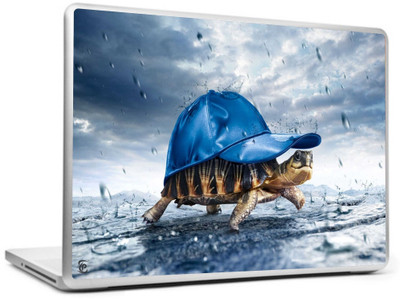 

Print Shapes 3D Turtles with cap Vinyl Laptop Decal 15.6