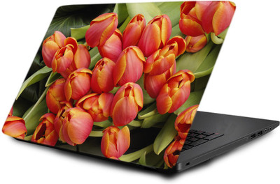 

Printclub Laptop Skin decal 15.6 inch- Laptop skin-818 Vinyl Laptop Decal 15.6