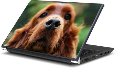 

Artifa Cute Dog Ls0791 Vinyl Laptop Decal 15.6