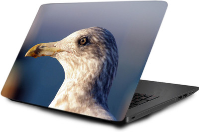 

Printclub Laptop Skin decal 15.6 inch- Laptop skin-642 Vinyl Laptop Decal 15.6