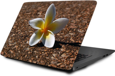 

Printclub Laptop Skin decal 15.6 inch- Laptop skin-639 Vinyl Laptop Decal 15.6