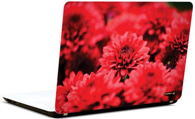 

Pics and You Burst Of Beauty Vinyl Laptop Decal 15.6