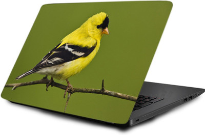 

Printclub Laptop Skin decal 15.6 inch- Laptop skin-743 Vinyl Laptop Decal 15.6