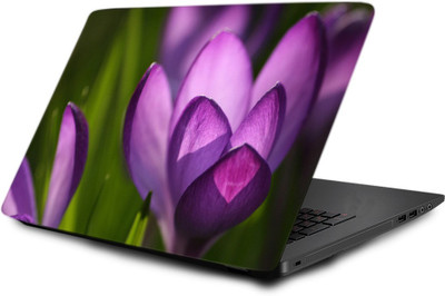

Printclub Laptop Skin decal 15.6 inch- Laptop skin-608 Vinyl Laptop Decal 15.6