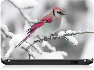 

Box 18 Beautiful Bird 321428 Vinyl Laptop Decal 15.6
