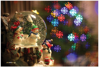 

Pics And You Pics And You Christmas Themed 157 Laptop Skin Vinyl Laptop Decal 15.6