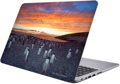 

Printclub Multicolor-396 Vinyl Laptop Decal 15.6