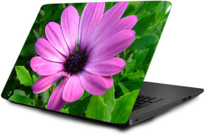 

Printclub Laptop Skin decal 15.6 inch- Laptop skin-710 Vinyl Laptop Decal 15.6