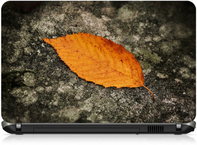 

Box 18 Leaf668 Vinyl Laptop Decal 15.6