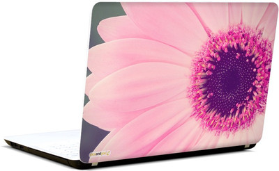 

Pics and You Vintage Flower 2 3M/Avery Vinyl Laptop Decal 15.6