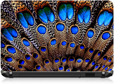 

Box 18 Peacock feather3291061 Vinyl Laptop Decal 15.6