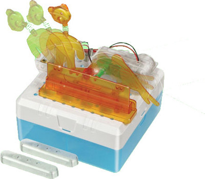 

iKen Joy Action Duo(Multicolor)