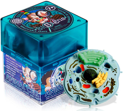 

iKen Joy Animal cell(Multicolor)