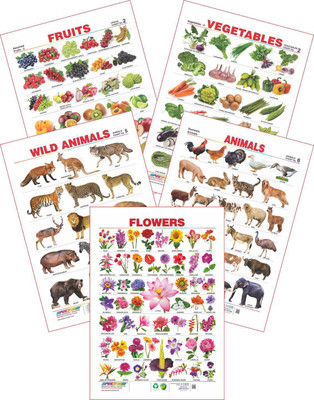 

Spectrum Set of 5 Educational Wall Charts (Wild Animals, Domestic Animals, Assorted Fruits 2, Vegetables 2 & Flowers)(Multicolor)