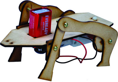 

Junior Scientist Chamelion(Multicolor)