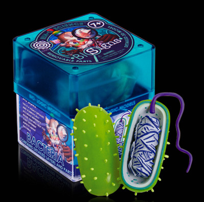

iKen Joy Bacteria(Multicolor)