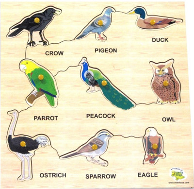 DealBindaas Wooden Puzzle Birds(Multicolor)