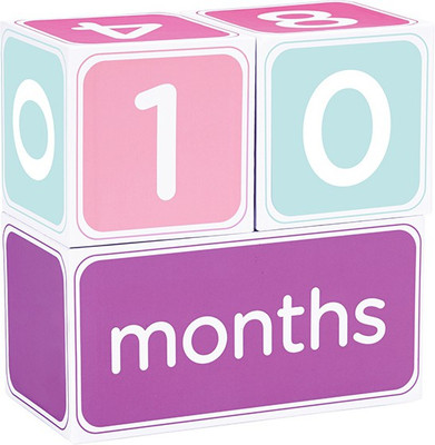 

Pearhead Milestone Block Set(Pink)