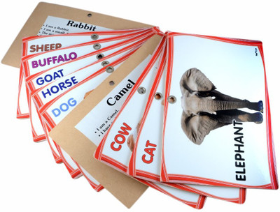 

Instabuyz Flash Cards Super set for Toddler and Learning Kids, Packs and Stickers (ABCs, Colors, Shapes, and Animals details)(Multicolor)