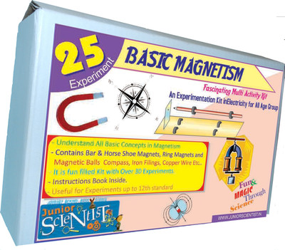 

Junior Scientist Basic Magnetism (25 Activity)(Multicolor)
