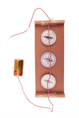 

ProjectsforSchool Line of Magnetism - DIY Kit(Multicolor)