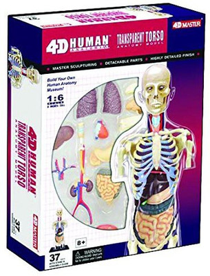 

Tedco 4D Human Anatomy Transparent Torso Model by Tedco Toys(Multicolor)