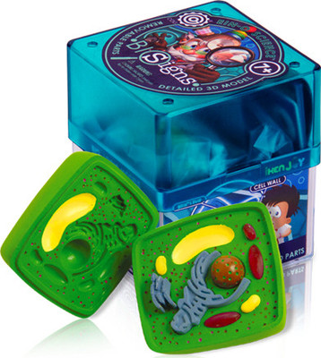 

iKen Joy Plant cell(Multicolor)