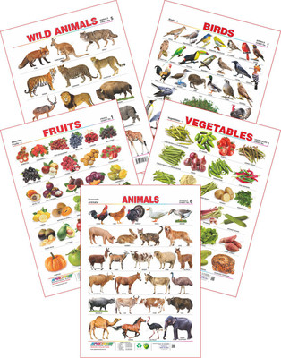 

Spectrum Set of 5 Educational Wall Charts (Wild Animals, Birds, Assorted Fruits 1, Vegetables 1 & Domestic Animals)(Multicolor)