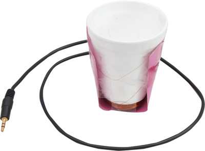 

ProjectsforSchool Speaker - DIY kit for Science Project(Multicolor)