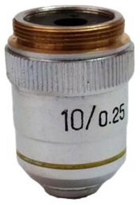 

NSAW LENS(Multicolor)