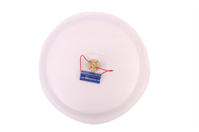 

ProjectsforSchool Hovercraft - DIY kit for Science Project(Multicolor)