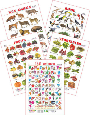 

Spectrum Set of 5 Educational Wall Charts (Wild Animals, Birds 1, Assorted Fruits 1, Vegetables 1 & Hindi Varnamala)(Multicolor)