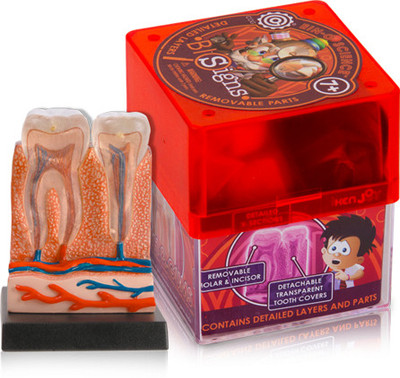 

iKen Joy Teeth & gums(Multicolor)