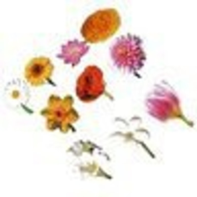 

Aimedu Toy JUMBO CUTOUT FLOWER(Multicolor)