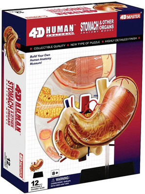 

Tedco 4D Human Anatomy Stomach & Other Organs by Tedco Toys(Multicolor)