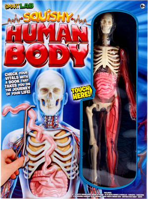 

Smartlab Lab Squishy Human Body(Multicolor)