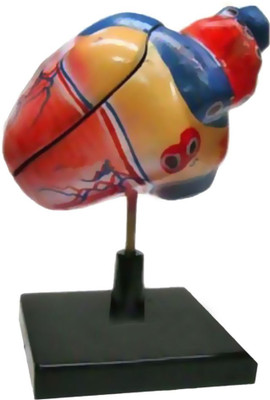 

NSAW Fiber Multicolor Heart Model(Multicolor)