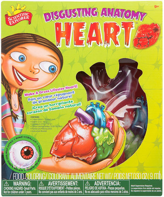 

Scientific Explorer Disgusting Anatomy Kit – Heart(Multicolor)