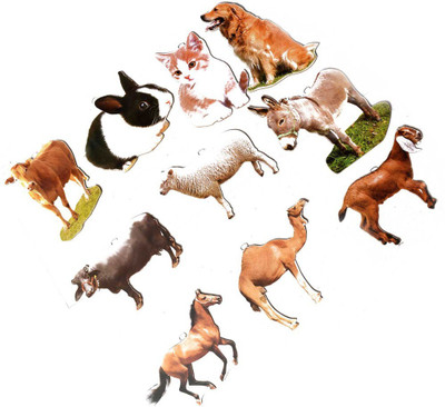 

Aimedu Toy JUMBO CUTOUT PET ANIMAL(Multicolor)