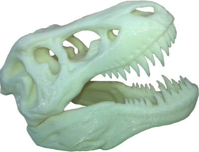 

Unique Shape T-rex dinosaur skull realistic educational(White)