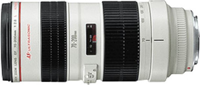 

Canon EF 70 - 200 mm f/2.8L USM Lens Lens(Black & White)