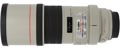 Canon EF 300 mm f/4L IS USM Lens Lens(Black & White)