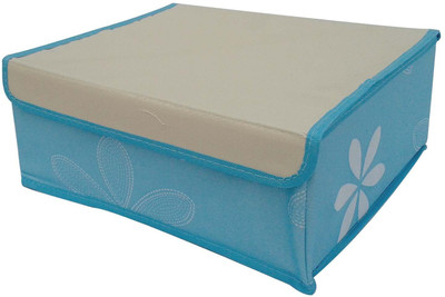

Etsi Bitsi Lingerie Storage Case(Bra and Panty, Pack of 1)