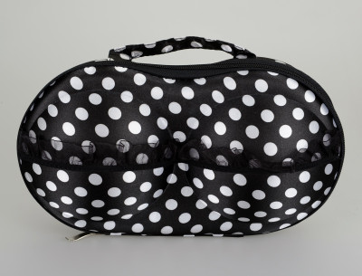 

Lifestyle-You Lingerie Storage Case, Travel Case(Bra and Panty, Pack of 1)