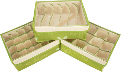 

Home Belle Lingerie Storage Case(Bra and Panty, Pack of 3)