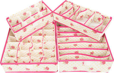 

Home Belle Lingerie Storage Case(Bra and Panty, Pack of 4)