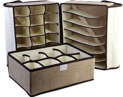 

BlushBees Lingerie Storage Case(Bra and Panty, Pack of 3)