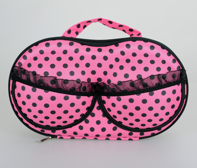 

Lifestyle-You Lingerie Storage Case, Travel Case(Bra and Panty, Pack of 1)